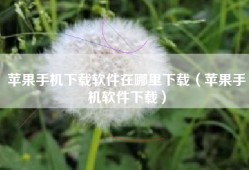 苹果手机下载软件在哪里下载（苹果手机软件下载）