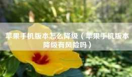 苹果手机版本怎么降级（苹果手机版本降级有风险吗）