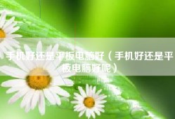 手机好还是平板电脑好（手机好还是平板电脑好呢）