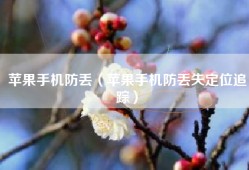 苹果手机防丢（苹果手机防丢失定位追踪）