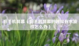 拍手机屏幕（拍手机屏幕的时候有水波纹怎么办）