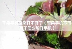 苹果手机突然打不开了（苹果手机不可用了怎么解开手机）