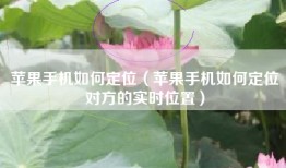 苹果手机如何定位（苹果手机如何定位对方的实时位置）