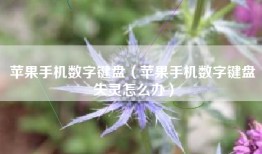 苹果手机数字键盘（苹果手机数字键盘失灵怎么办）