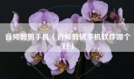 音频剪辑手机（音频剪辑手机软件哪个好）