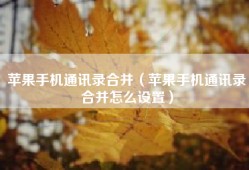 苹果手机通讯录合并（苹果手机通讯录合并怎么设置）