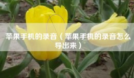 苹果手机的录音（苹果手机的录音怎么导出来）