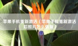 苹果手机重新激活（苹果手机重新激活后照片怎么恢复）