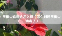 手机中病毒会怎么样（怎么判断手机中病毒了）