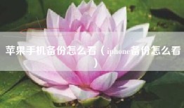 苹果手机备份怎么看（iphone备份怎么看）