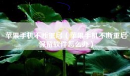 苹果手机不断重启（苹果手机不断重启保留软件怎么办）