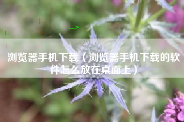 浏览器手机下载（浏览器手机下载的软件怎么放在桌面上）