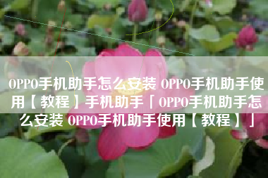 OPPO手机助手怎么安装 OPPO手机助手使用【教程】手机助手「OPPO手机助手怎么安装 OPPO手机助手使用【教程】」