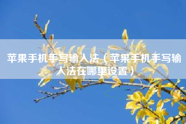 苹果手机手写输入法（苹果手机手写输入法在哪里设置）