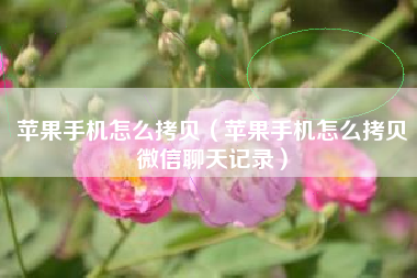 苹果手机怎么拷贝（苹果手机怎么拷贝微信聊天记录）